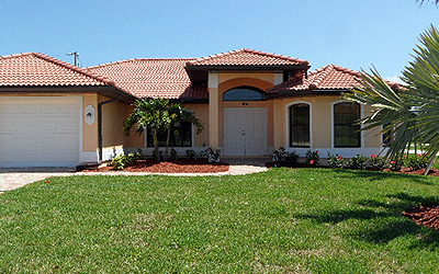 Latania Palms