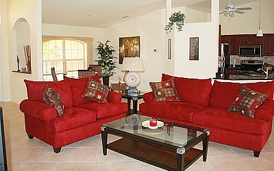 Latania Palms